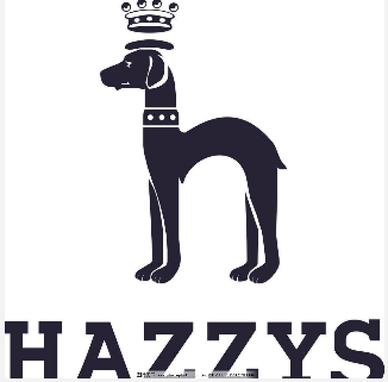 Hazzys