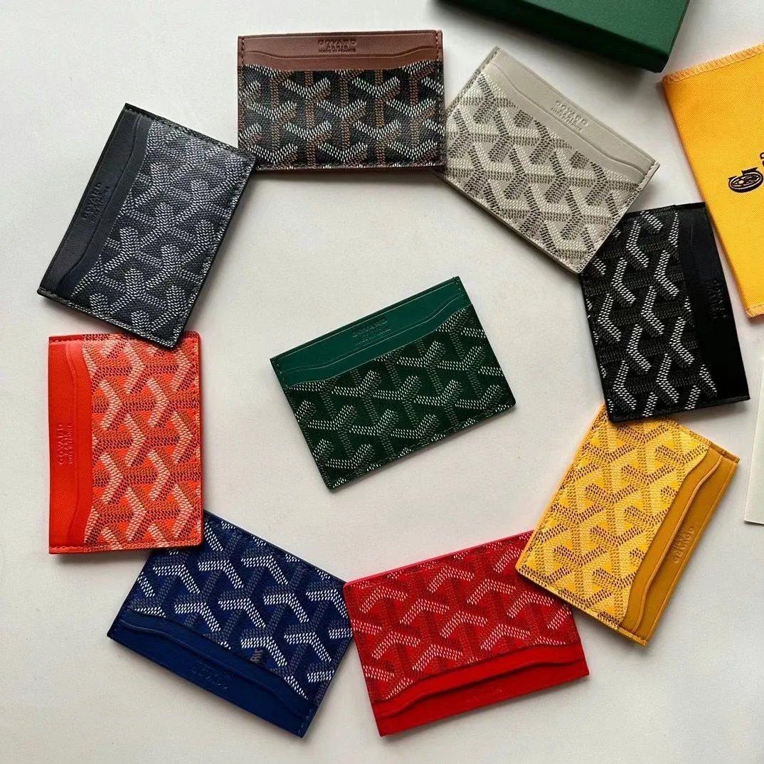 Goyard Multi-Color C