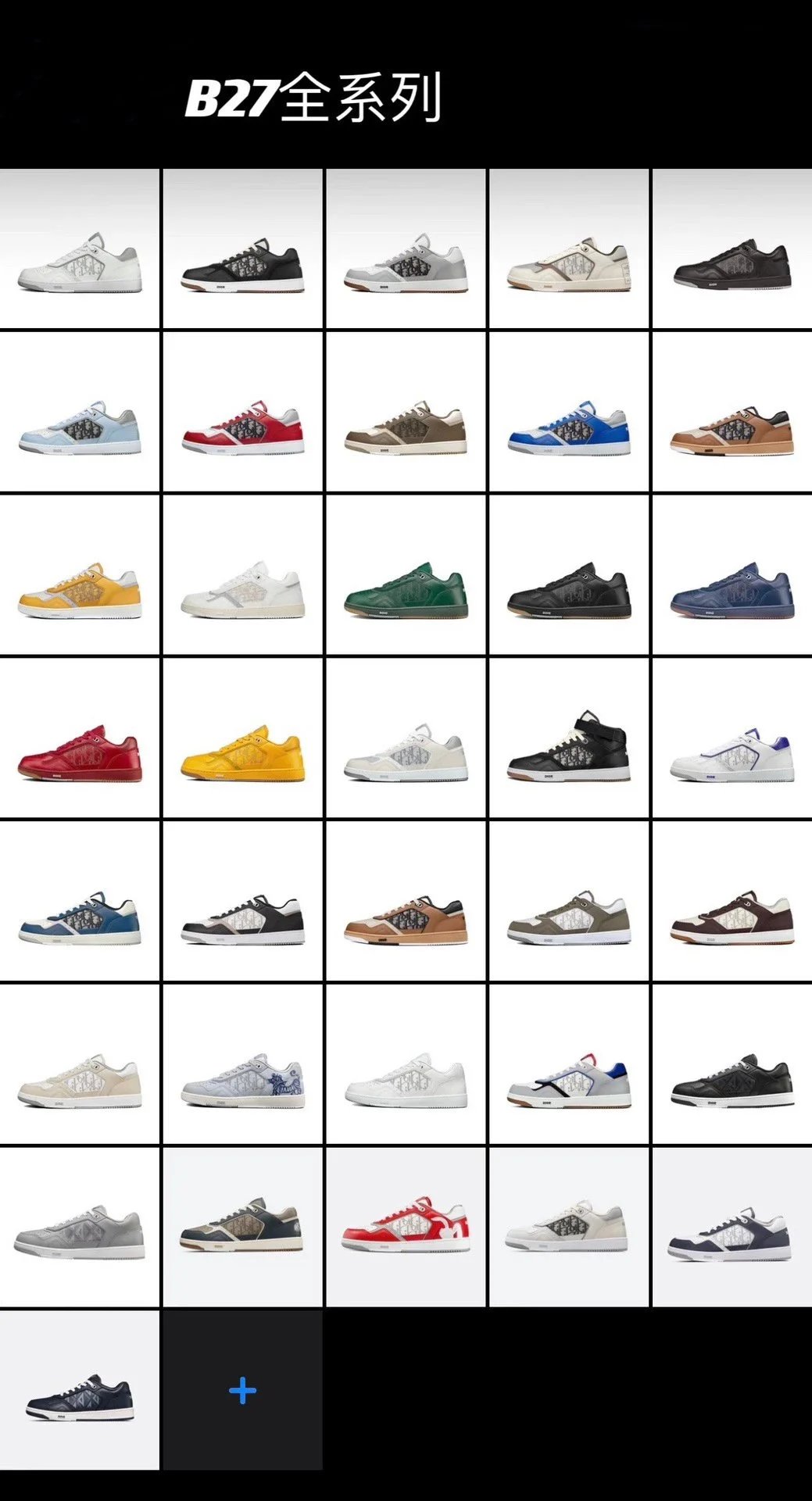 Dior B27 Low Top Sne
