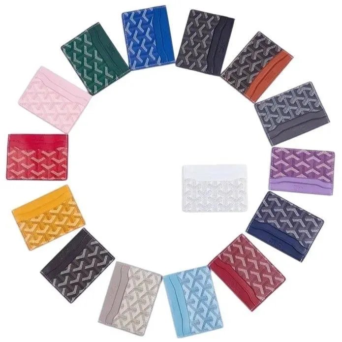 Goyard Multi Color C
