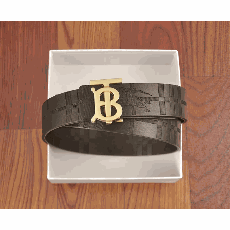 Burberry Brown Leather Belt with Gold TB Buckle