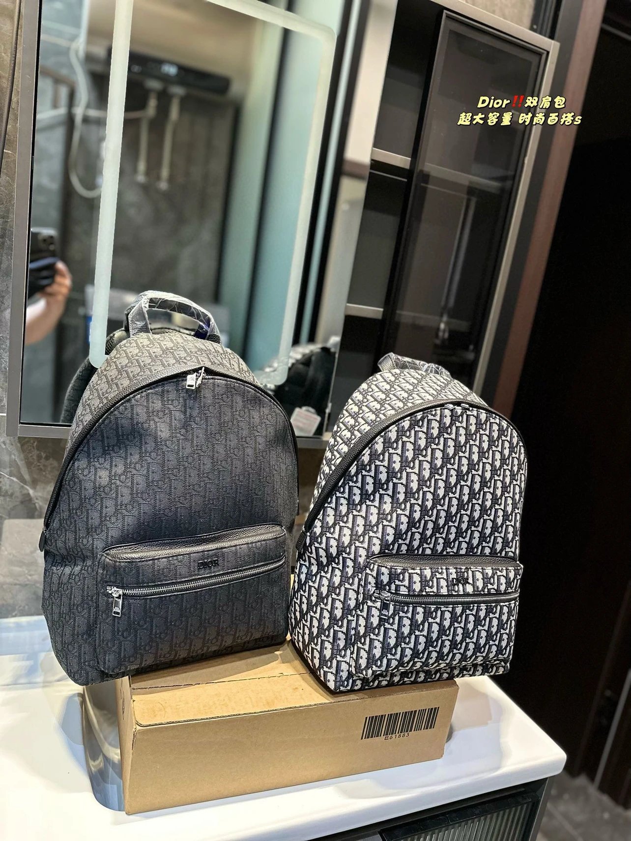 Dior Black and White Monogram Backpack